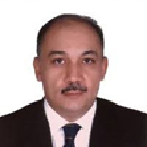 Waleed Abdelfattah ahmed Azab